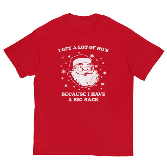 Funny Adult Santa Shirt